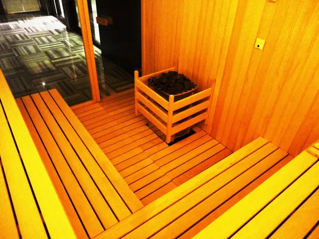 Sauna sobası ve iç kaplama detayları
